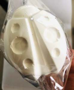 Pick N Paint Plaster Paris - LADY BIRD ON STICK (Handmade in NZ)