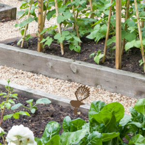 Monogram: Fantail Ground Spike