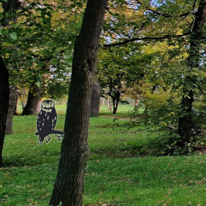 Mothers Day: Ruru Tree Spike