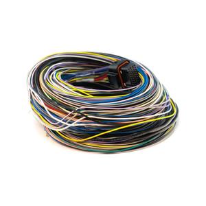 Link Engine Management: B Loom Long - #5LB 101-0009
