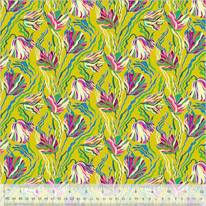 botanica: Tulip Chartreuse