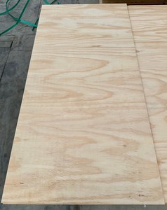 Firsts: Plywood 1200x600x12mm UT C/D Grade F8