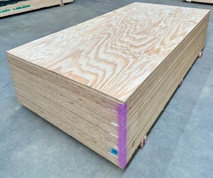 Firsts: Plywood 2400x1200x18mm C/D NS UT