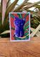 Purple Cat
