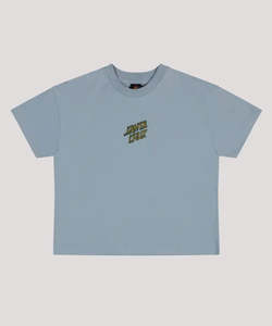 Boys T Shirts: Santa Cruz Brain Dot Centre Short Sleeve Tee - Slate