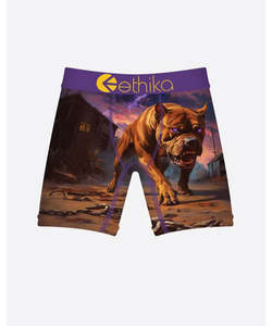 Boys Pants: Ethika Toddlers Terror Terrier Staple