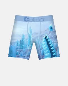Accessories: Ethika Toddlers Bomber City of Stillness Staple