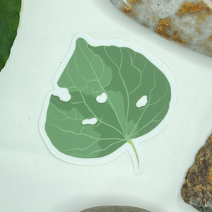 Products: Kawakawa Leaf Vinyl Sticker Poipoia Ōtautahi