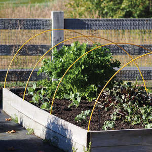 Polynet Garden Cloches: 2.4m x  9mm Plastic Coated Fibreglass Rod