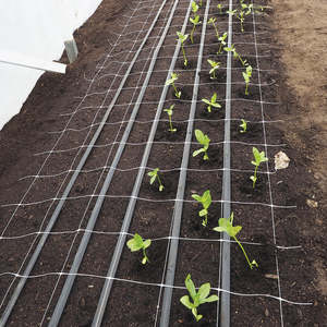 Hortonova Flower Support Netting      FG grid 150mm x 170mm