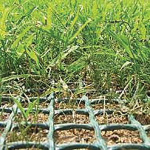 TR Lawn - Reinforcing Mesh - 1m x 5m