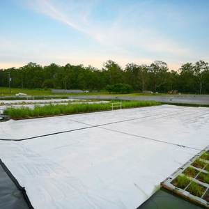 Products: Daisy Dam Covers