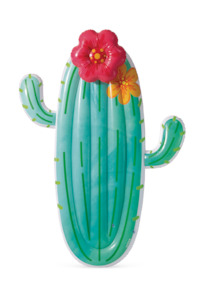 POOL TOY CACTUS FLOAT