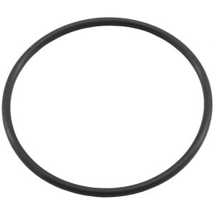 Pool Lights: Filtrite Light Oring/Seal