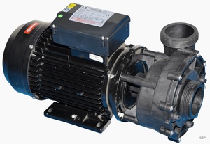 Products: LX200 – 2HP Spa Pump