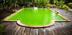 Products: Green Pool Rescue Pack - Pool Water Specialists
