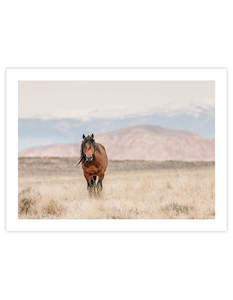 Christmas Gift Guide Art For Her: Wild Horse