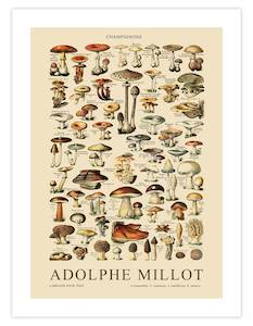 Autumn Art Prints: Champignons