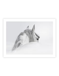 Winter Wonder: The White Horse