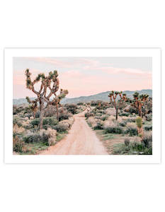 Unframed Art Prints: Yucca Valley