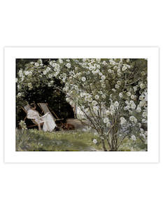 Boxing Day Promotion: Marie in a deckchair reading