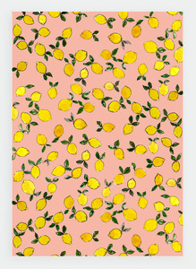 JM19 Lemons Blush | Joni Murphy (Pack of 6)