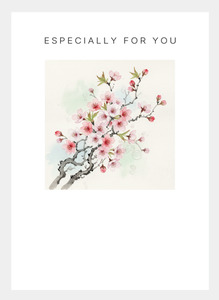 MM222 Especially for You (Pack of 6)