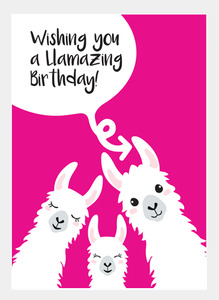 Latest Designs Wholesale: MM223 Llamazing Birthday (Pack of 6)