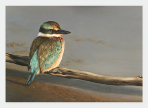 New Zealand Artists Wholesale: FAMG08 Kingfisher (Pack of 6)