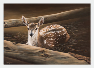 New Zealand Artists Wholesale: FAMG06 Fawn (Pack of 6)