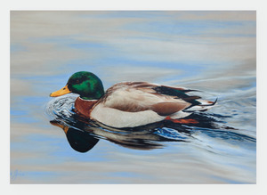 New Zealand Artists Wholesale: FAMG05 Calm Waters (Pack of 6)