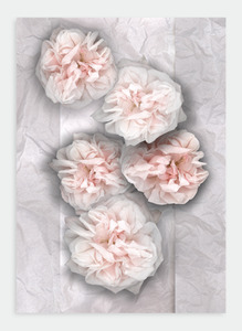 Flora Lynn Hurst Wholesale: LH37 Cabbage Roses on Tissue (Pack of 6)