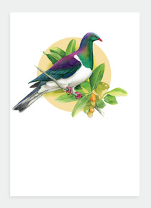 The Birds Wholesale: DB20 Kereru  (Pack of 6)