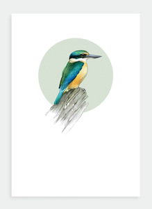 The Birds Wholesale: DB34 Kingfisher (Pack of 6)