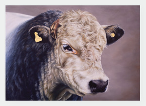 FAMG04 I am watching you (Pack of 6)