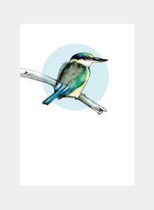 All Occasions Mini Wholesale: DBM16 Kingfisher  (Pack of 6)