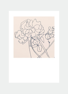 All Occasions Mini Wholesale: MC51 Pink flowers  (Pack of 6)