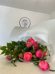 Fresh Flowers: Weekly Special - Tulips