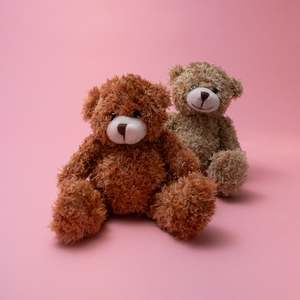 Ted the Teddy Bear