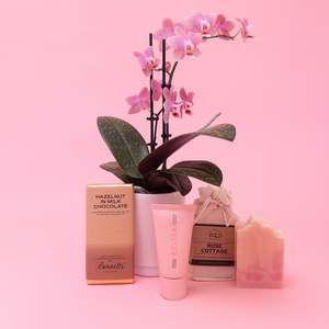 Orchid and Treats Deluxe Gift Set