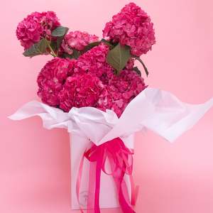 Fresh Flowers: Hydrangea Special
