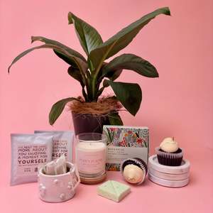 Plant And Treats Gift Box