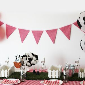 Farmyard Fun | Party Box