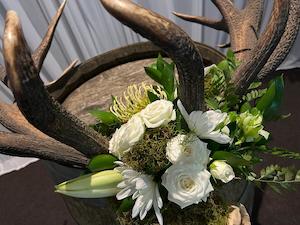 Misc: Deer Antler
