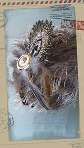 Gloves & Hats: Fascinator