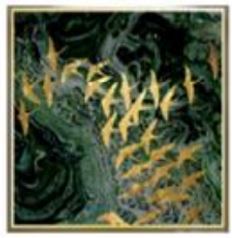 Artwork: Box Frame Canvas Print - Gold Birds PO128