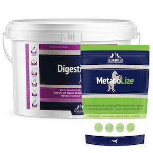 Horse Dog Supplements: Metabolic Care Pack - Performance Horse