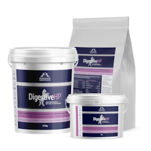 Horse Dog Supplements: Digestive HP