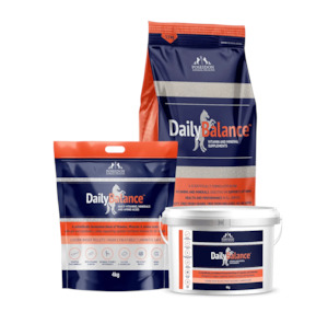 Horse Dog Supplements: Daily Balance