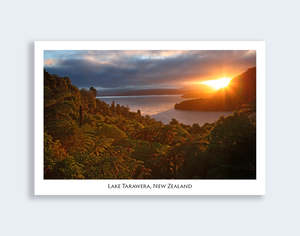 643 - Post Art Postcard - Lake Tarawera